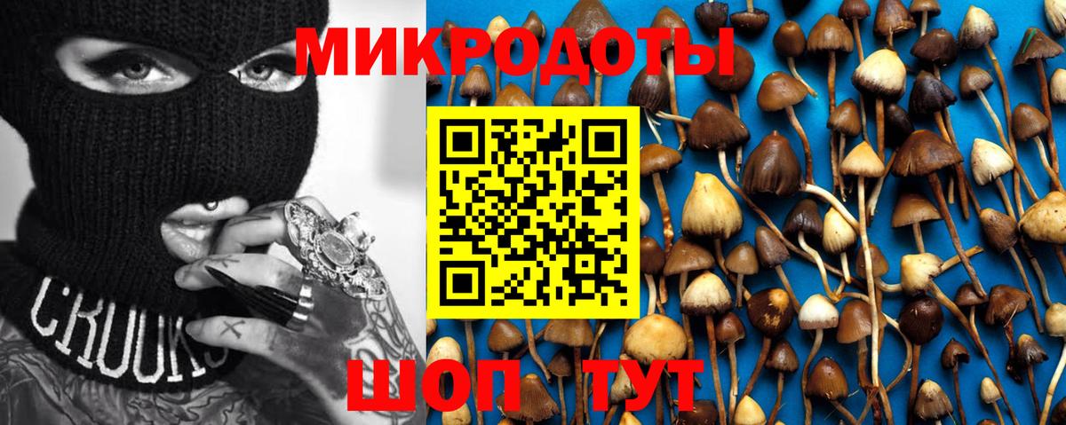 Псилоцибиновые грибы прущие грибы  Вход с VPN  Ишимбай  Псилоцибиновые грибы GOLDEN TEACHER 